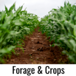 Click to shop Forage & Crops courses